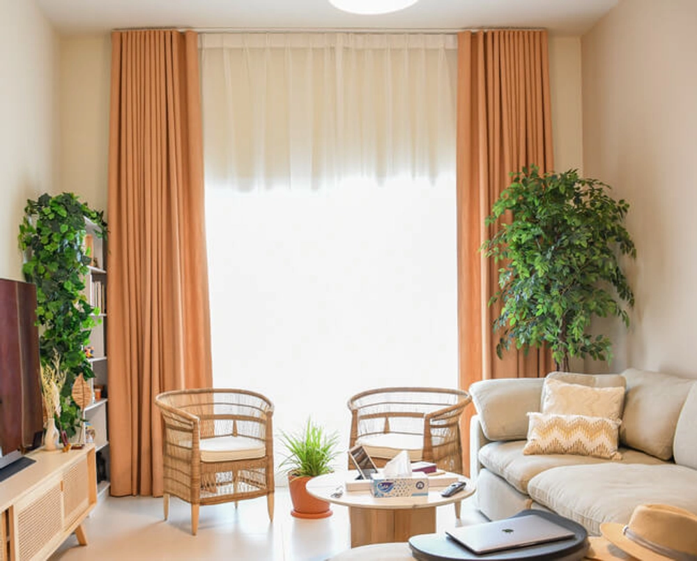 Room Curtain
